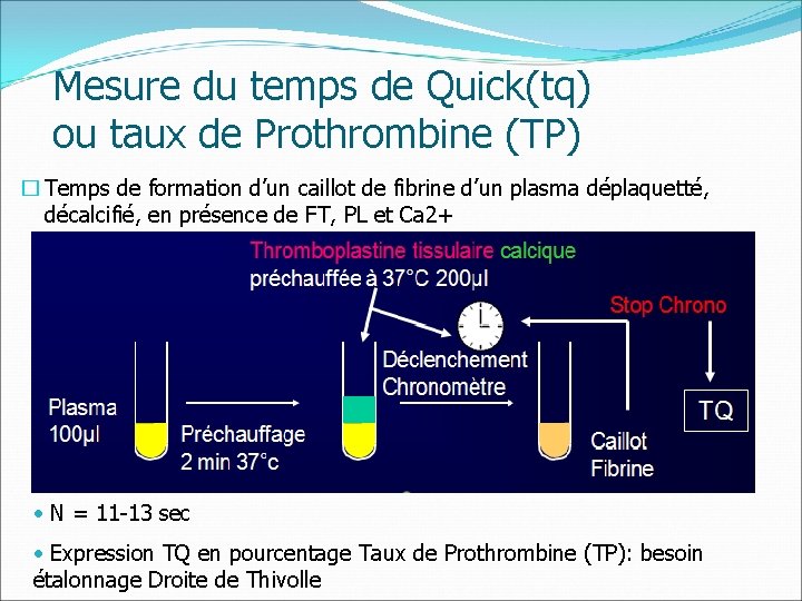 Mesure du temps de Quick(tq) ou taux de Prothrombine (TP) � Temps de formation