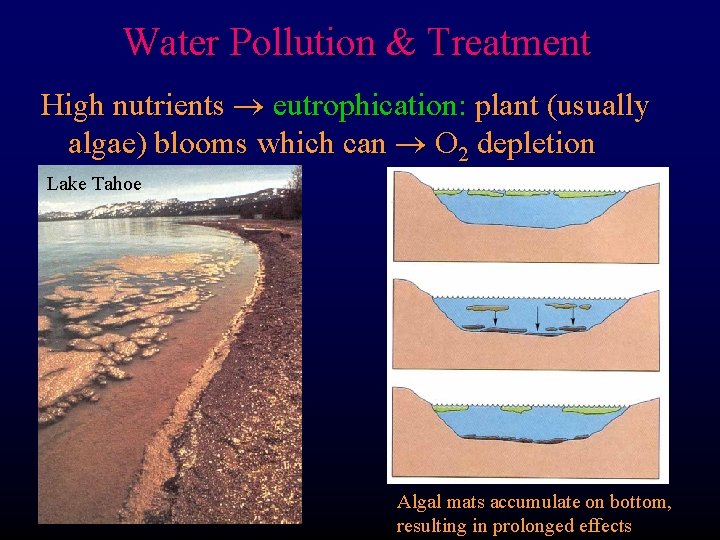 Water Pollution & Treatment High nutrients eutrophication: plant (usually algae) blooms which can O