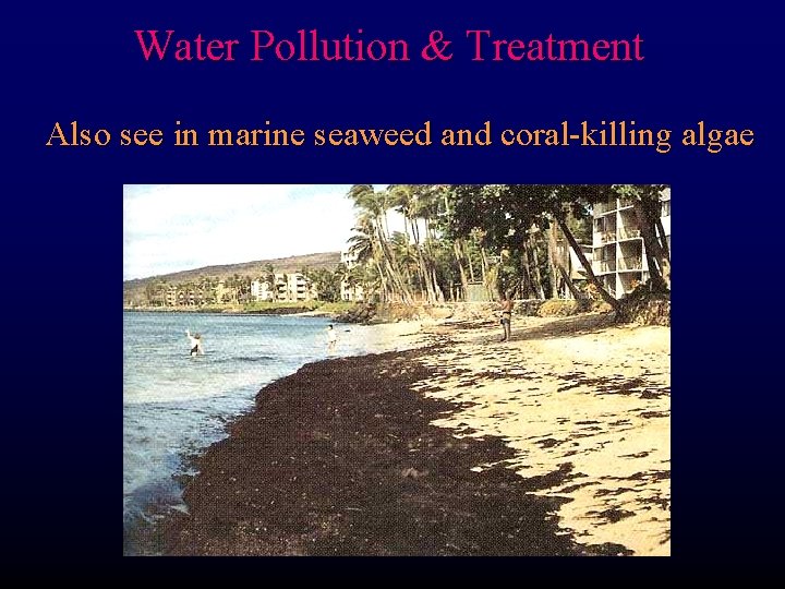 Water Pollution & Treatment Also see in marine seaweed and coral-killing algae 