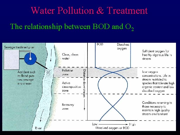 Water Pollution & Treatment The relationship between BOD and O 2 