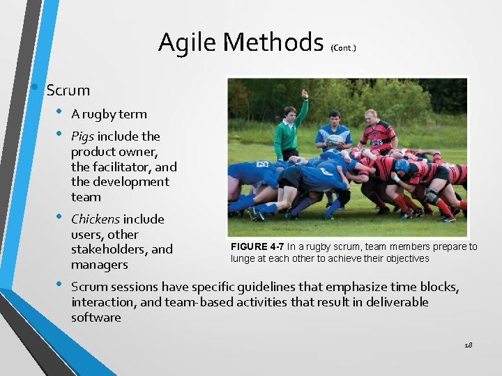 Agile Methods (Cont. ) • Scrum • • A rugby term • Chickens include