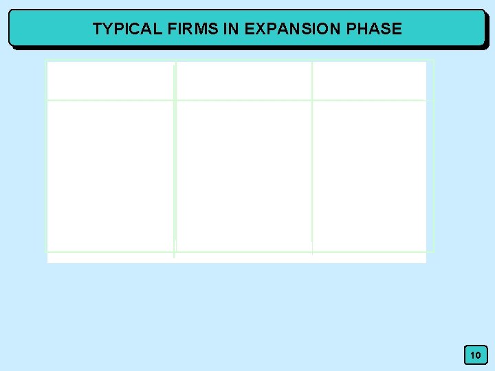 TYPICAL FIRMS IN EXPANSION PHASE 10 