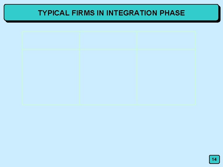 TYPICAL FIRMS IN INTEGRATION PHASE 14 