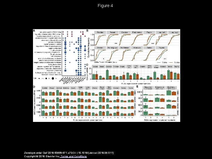 Figure 4 Developmental Cell 2019 50658 -671. e 7 DOI: (10. 1016/j. devcel. 2019.