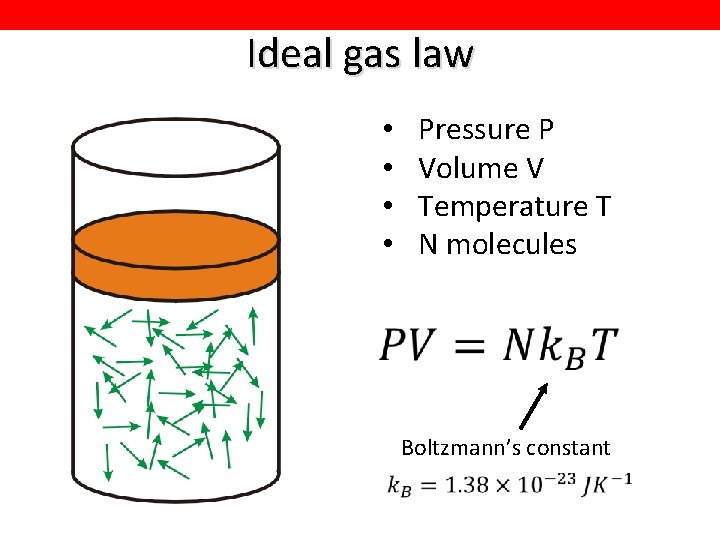 Ideal gas law • • Pressure P Volume V Temperature T N molecules Boltzmann’s