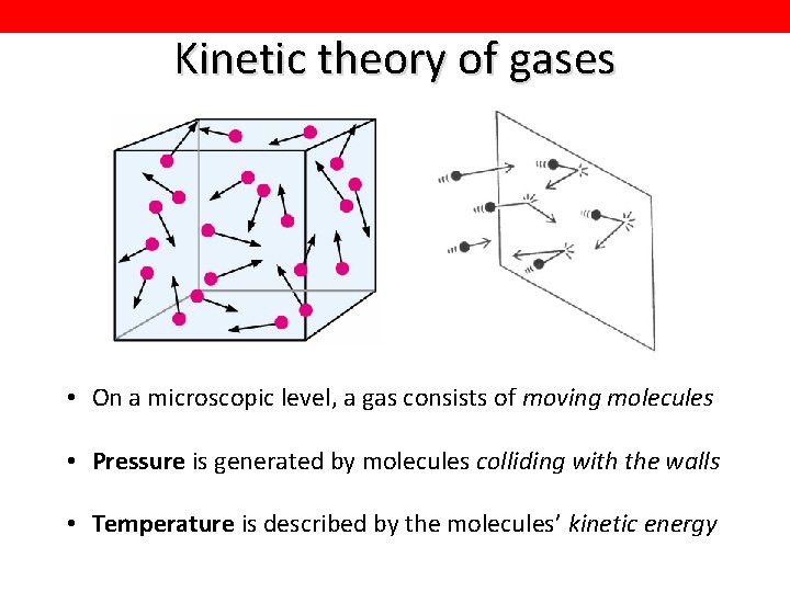 Kinetic theory of gases • On a microscopic level, a gas consists of moving