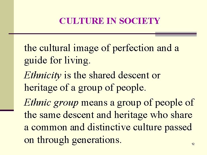 CULTURE IN SOCIETY the cultural image of perfection and a guide for living. Ethnicity