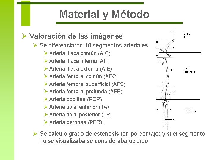 Material y Método Ø Valoración de las imágenes Ø Se diferenciaron 10 segmentos arteriales