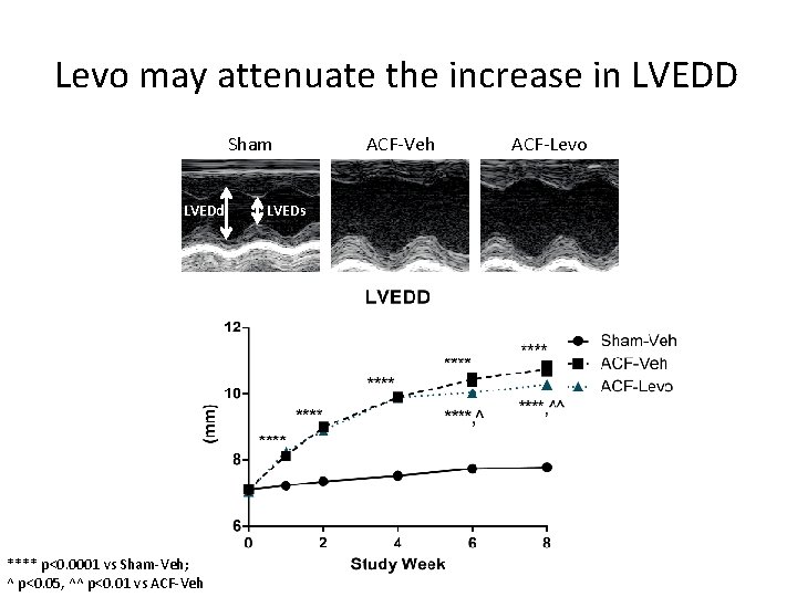 Levo may attenuate the increase in LVEDD Sham LVEDd **** p<0. 0001 vs Sham-Veh;