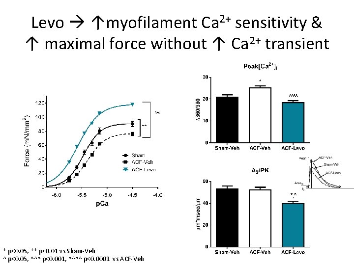 Levo ↑myofilament Ca 2+ sensitivity & ↑ maximal force without ↑ Ca 2+ transient
