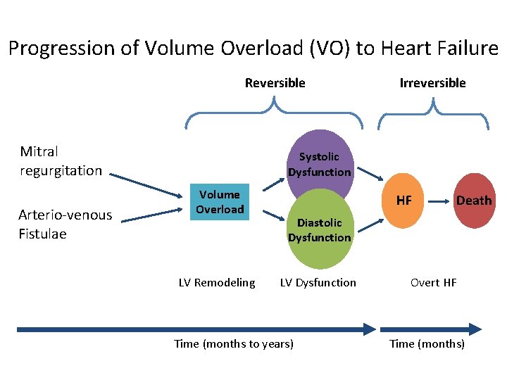 Progression of Volume Overload (VO) to Heart Failure Reversible Mitral regurgitation Arterio-venous Fistulae Irreversible