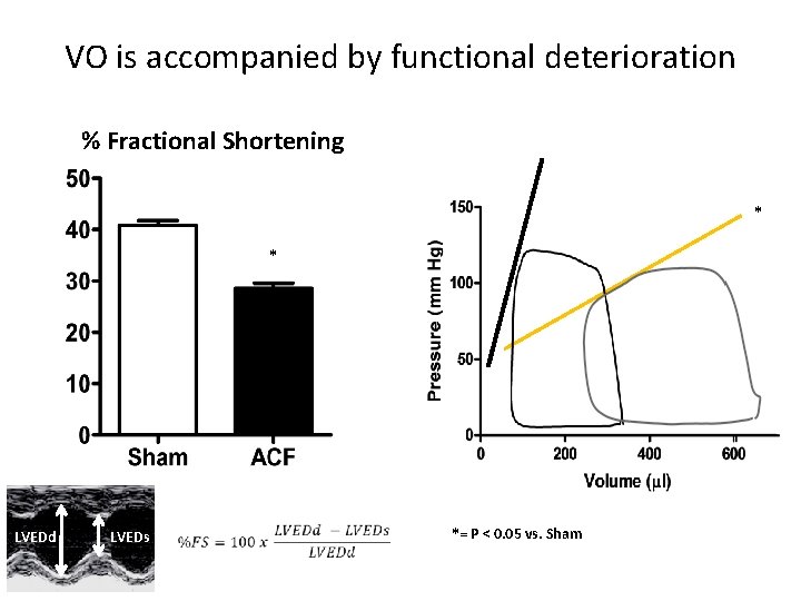 VO is accompanied by functional deterioration % Fractional Shortening * * LVEDd LVEDs *=