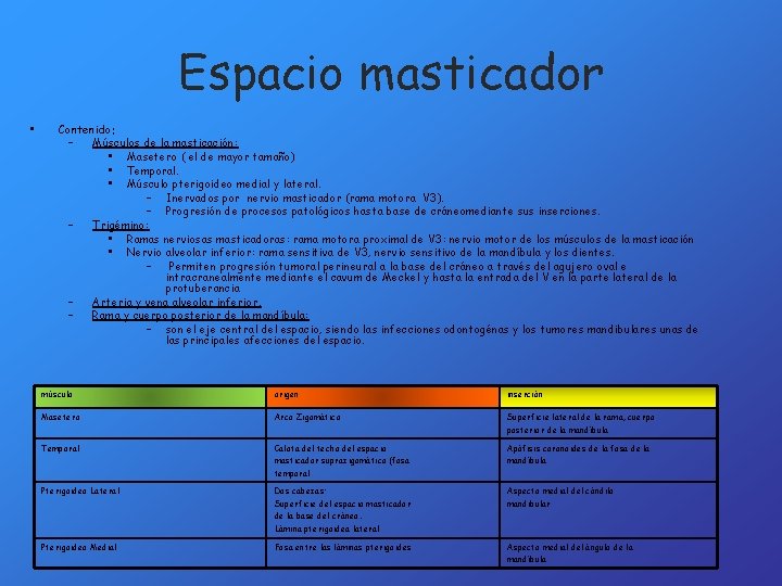 Espacio masticador • Contenido: – Músculos de la masticación: • Masetero ( el de