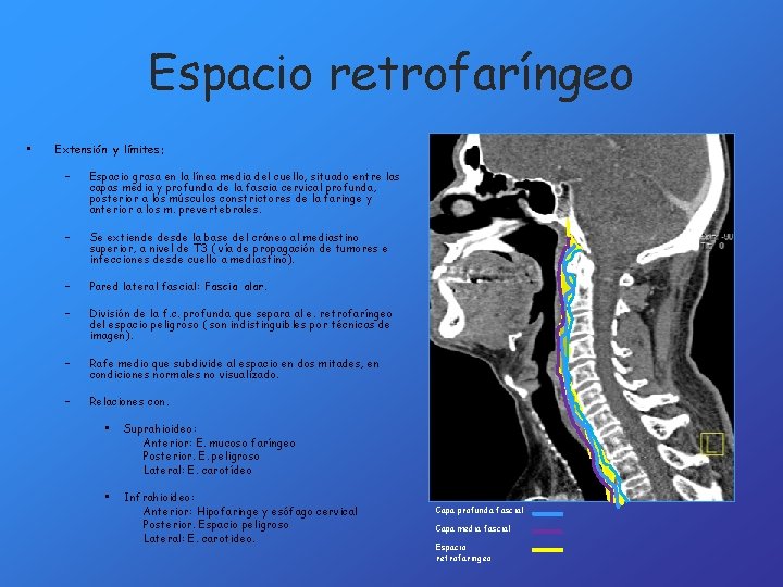 Espacio retrofaríngeo • Extensión y límites: – Espacio grasa en la línea media del