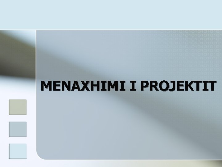 MENAXHIMI I PROJEKTIT 