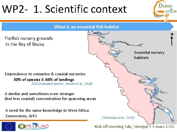 WP 2 - 1. Scientific context What is an essential fish habitat Flatfish nursery WP 2 - 1. Scientific context What is an essential fish habitat Flatfish nursery