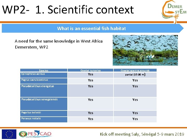 WP 2 - 1. Scientific context What is an essential fish habitat A need WP 2 - 1. Scientific context What is an essential fish habitat A need