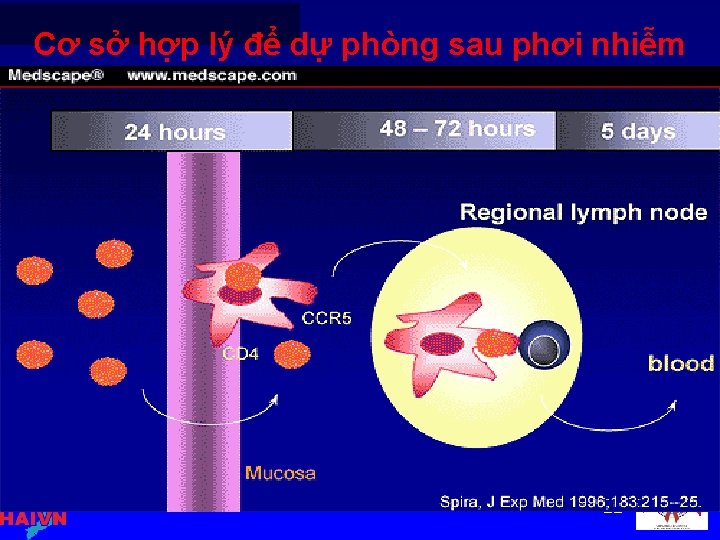 Cơ sở hợp lý để dự phòng sau phơi nhiễm 22 