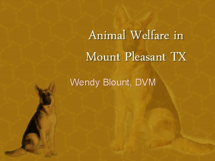 Animal Welfare in Mount Pleasant TX Wendy Blount, DVM 