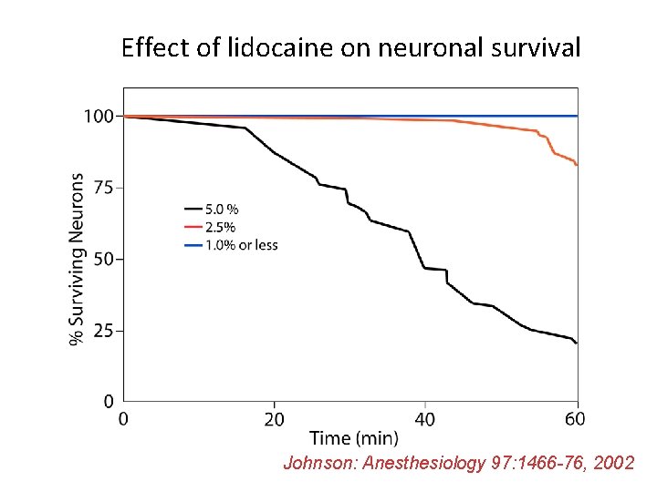 Effect of lidocaine on neuronal survival Johnson: Anesthesiology 97: 1466 -76, 2002 