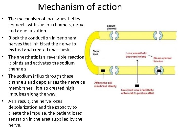 Mechanism of action • The mechanism of local anesthetics connects with the ion channels,