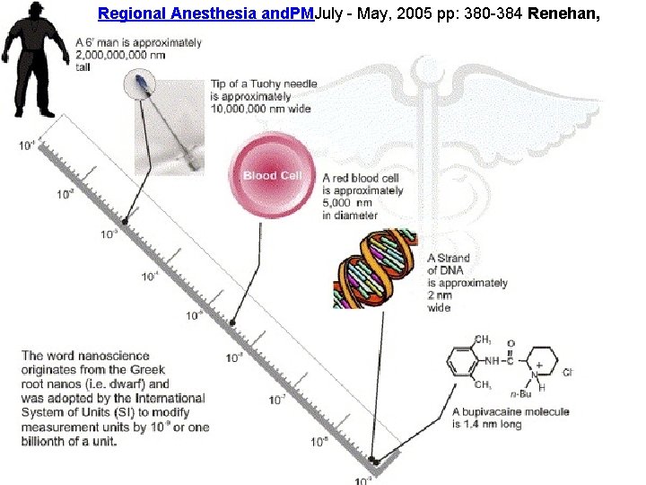 Regional Anesthesia and. PMJuly - May, 2005 pp: 380 -384 Renehan, 