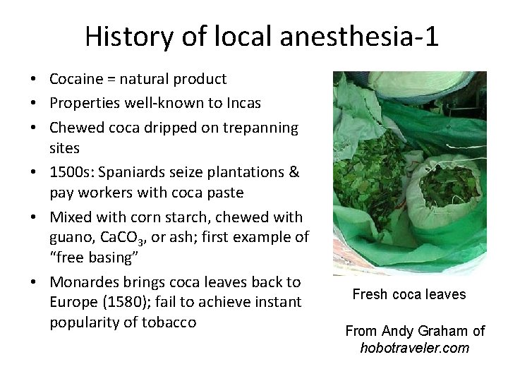 History of local anesthesia-1 • Cocaine = natural product • Properties well-known to Incas