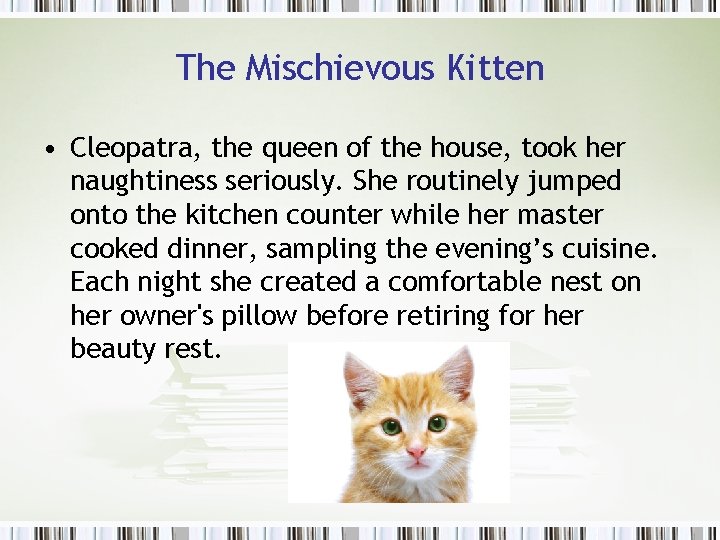 The Mischievous Kitten • Cleopatra, the queen of the house, took her naughtiness seriously.