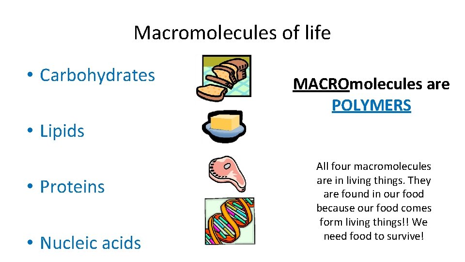 Macromolecules of life • Carbohydrates MACROmolecules are POLYMERS • Lipids • Proteins • Nucleic