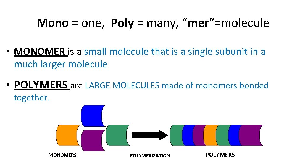 Mono = one, Poly = many, “mer”=molecule • MONOMER is a small molecule that