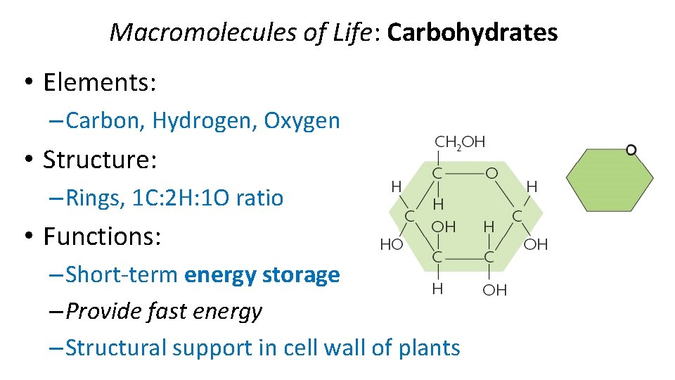 Macromolecules of Life: Carbohydrates • Elements: – Carbon, Hydrogen, Oxygen • Structure: – Rings,