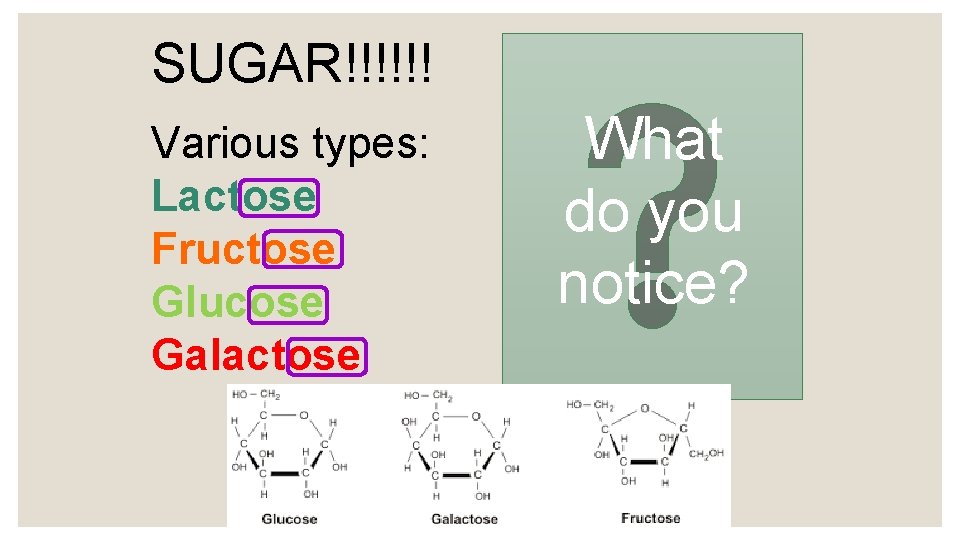 SUGAR!!!!!! Various types: Lactose Fructose Glucose Galactose What do you notice? 