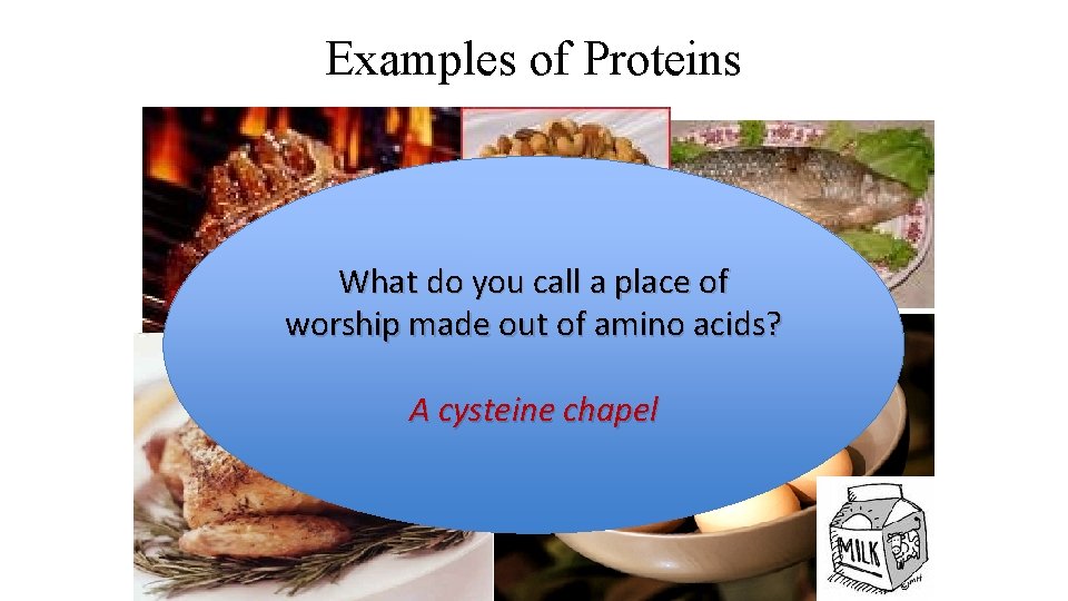 Examples of Proteins What do you call a place of worship made out of