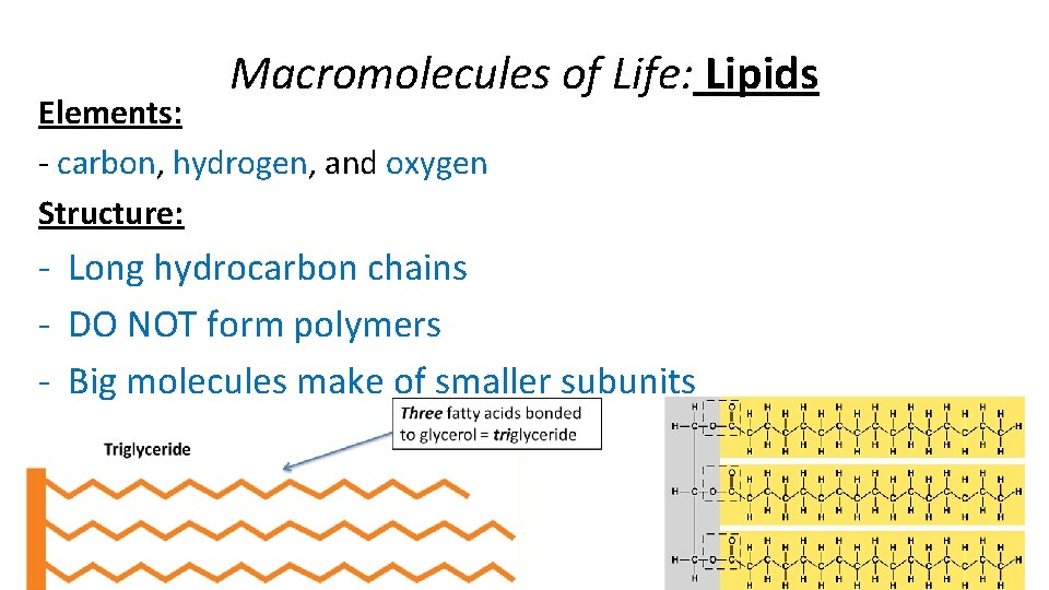 Macromolecules of Life: Lipids Elements: - carbon, hydrogen, and oxygen Structure: - Long hydrocarbon