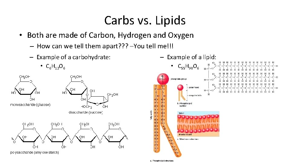Carbs vs. Lipids • Both are made of Carbon, Hydrogen and Oxygen – How