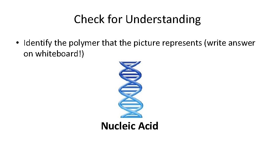 Check for Understanding • Identify the polymer that the picture represents (write answer on