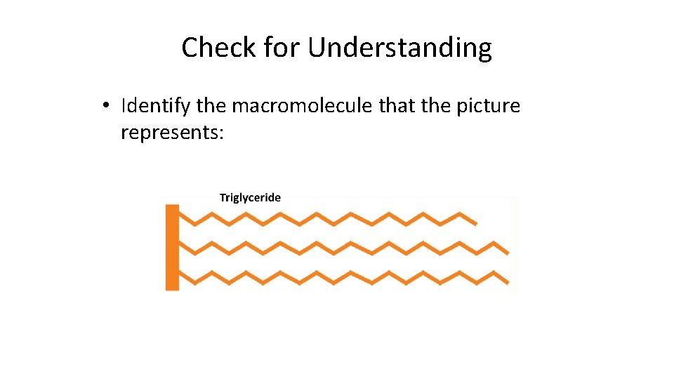 Check for Understanding • Identify the macromolecule that the picture represents: 