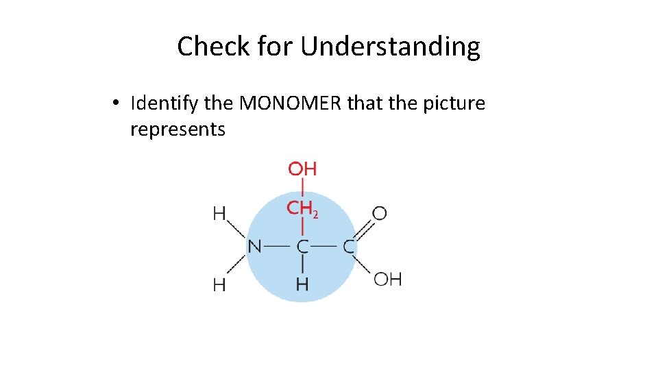Check for Understanding • Identify the MONOMER that the picture represents 