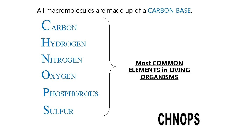 All macromolecules are made up of a CARBON BASE. CARBON HYDROGEN NITROGEN OXYGEN PHOSPHOROUS