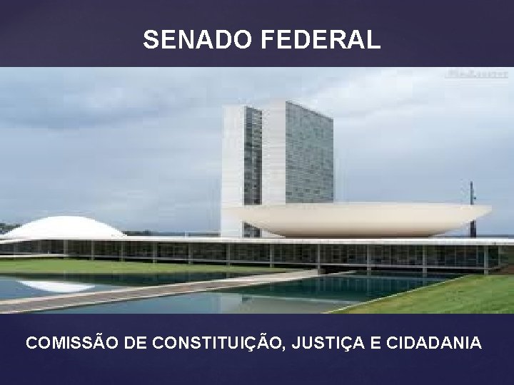SENADO FEDERAL COMISSÃO DE CONSTITUIÇÃO, JUSTIÇA E CIDADANIA 