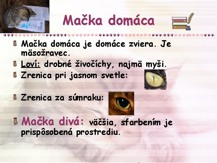 Mačka domáca je domáce zviera. Je mäsožravec. Loví: drobné živočíchy, najmä myši. Zrenica pri