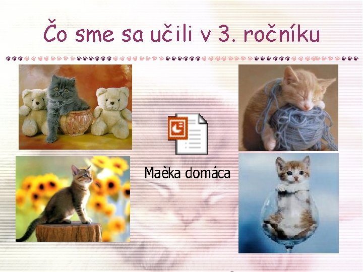 Čo sme sa učili v 3. ročníku 