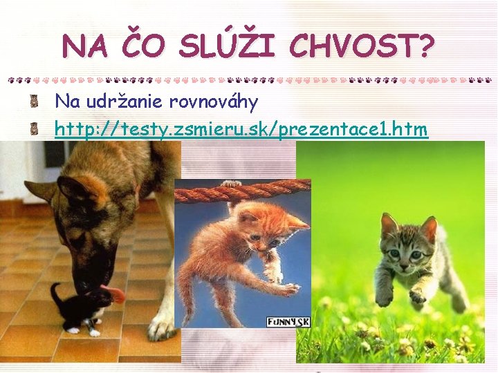 NA ČO SLÚŽI CHVOST? Na udržanie rovnováhy http: //testy. zsmieru. sk/prezentace 1. htm 