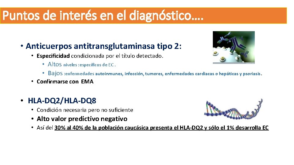 Puntos de interés en el diagnóstico…. • Anticuerpos antitransglutaminasa tipo 2: • Especificidad condicionada