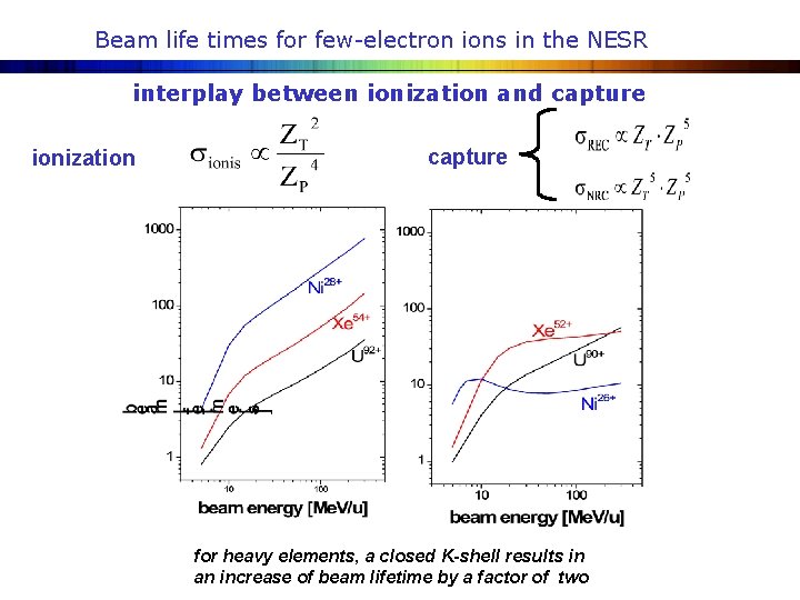 Beam life times for few-electron ions in the NESR interplay between ionization and capture