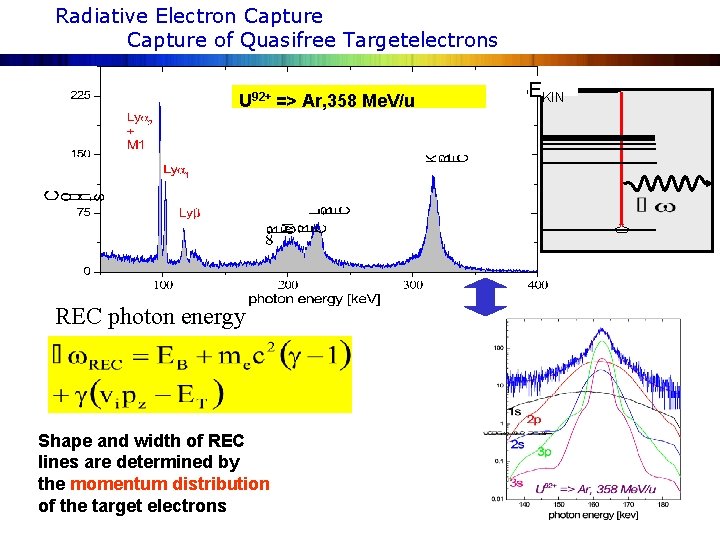 Radiative Electron Capture of Quasifree Targetelectrons U 92+ => Ar, 358 Me. V/u REC