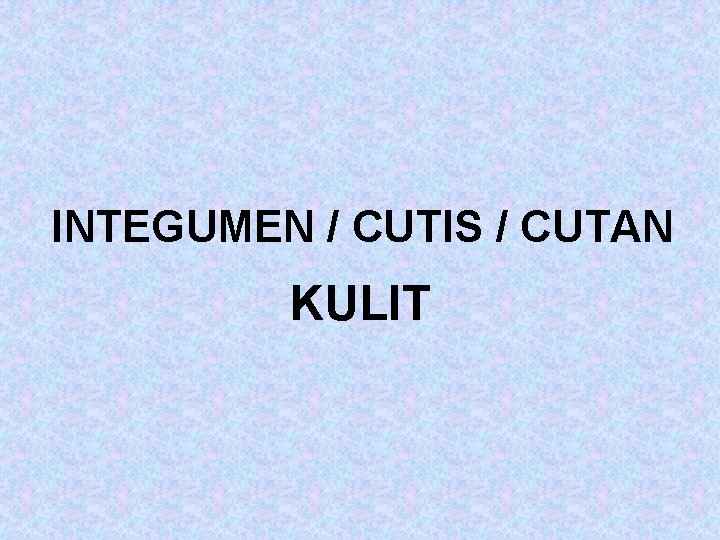 INTEGUMEN / CUTIS / CUTAN KULIT 