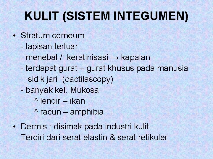 KULIT (SISTEM INTEGUMEN) • Stratum corneum - lapisan terluar - menebal / keratinisasi →