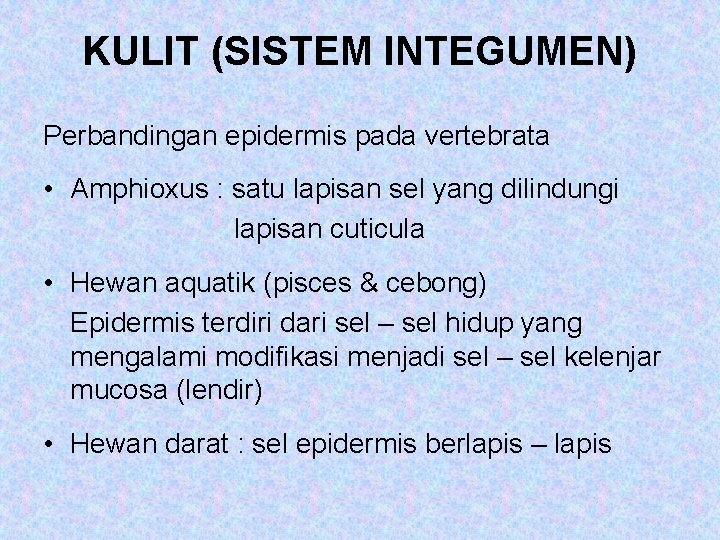 KULIT (SISTEM INTEGUMEN) Perbandingan epidermis pada vertebrata • Amphioxus : satu lapisan sel yang