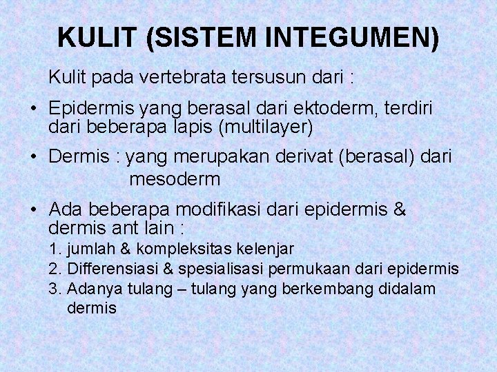 KULIT (SISTEM INTEGUMEN) Kulit pada vertebrata tersusun dari : • Epidermis yang berasal dari